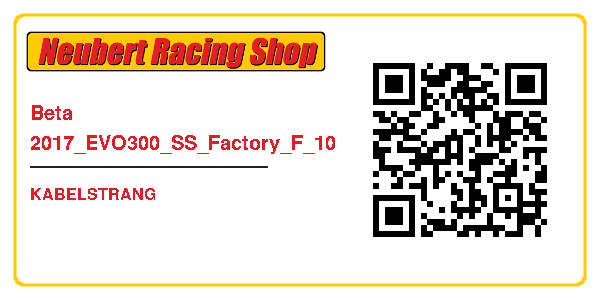 Beta 2017_EVO300_SS_Factory_F_10