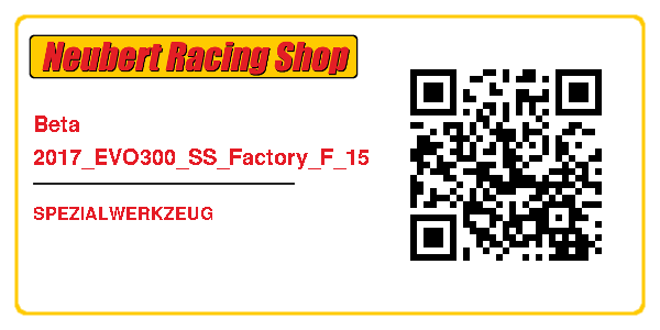 Beta 2017_EVO300_SS_Factory_F_15