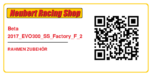 Beta 2017_EVO300_SS_Factory_F_2