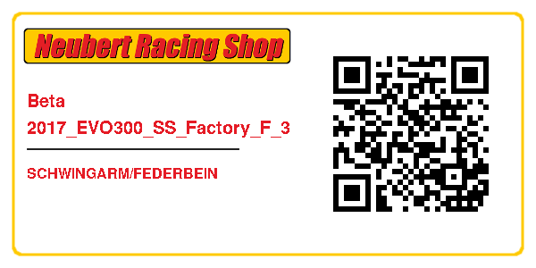 Beta 2017_EVO300_SS_Factory_F_3