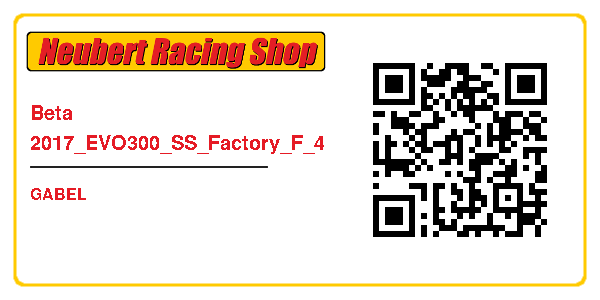Beta 2017_EVO300_SS_Factory_F_4