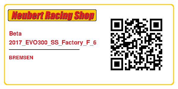 Beta 2017_EVO300_SS_Factory_F_6