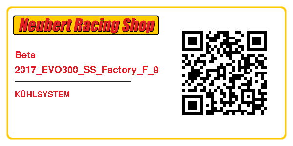 Beta 2017_EVO300_SS_Factory_F_9