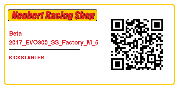 Beta 2017_EVO300_SS_Factory_M_5
