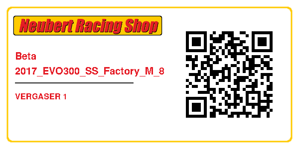 Beta 2017_EVO300_SS_Factory_M_8