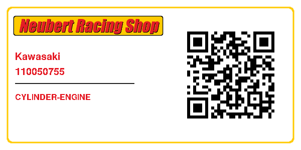 Kawasaki 110050755