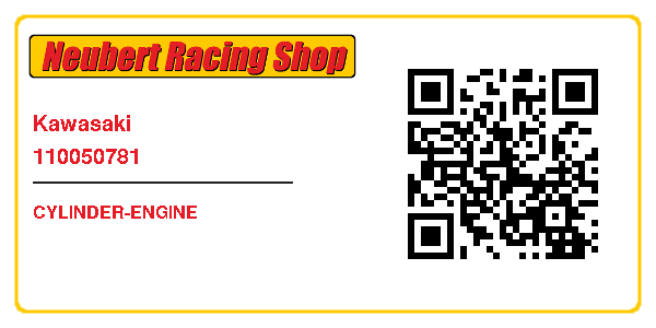 Kawasaki 110050781