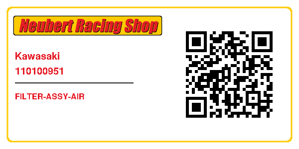 Kawasaki 110100951