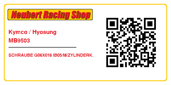Kymco / Hyosung MB9503