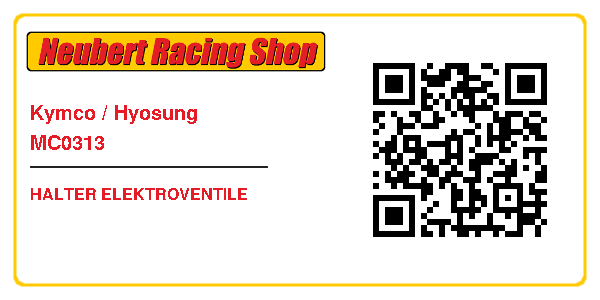 Kymco / Hyosung MC0313