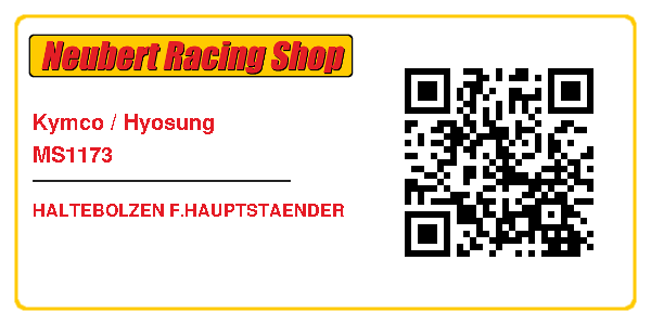 Kymco / Hyosung MS1173