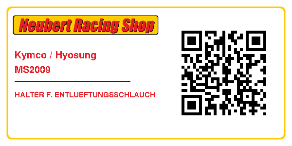 Kymco / Hyosung MS2009