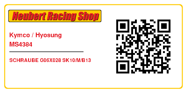 Kymco / Hyosung MS4384