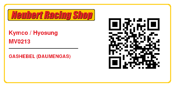 Kymco / Hyosung MV0213