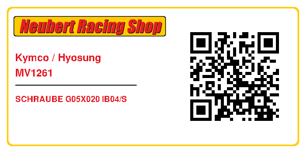 Kymco / Hyosung MV1261