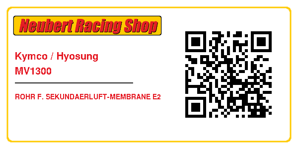 Kymco / Hyosung MV1300