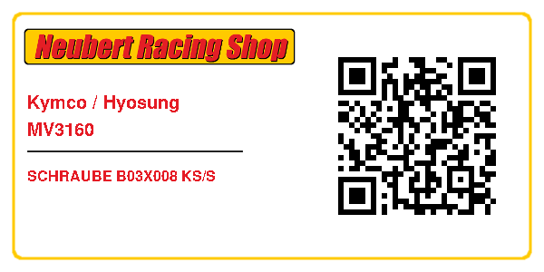 Kymco / Hyosung MV3160