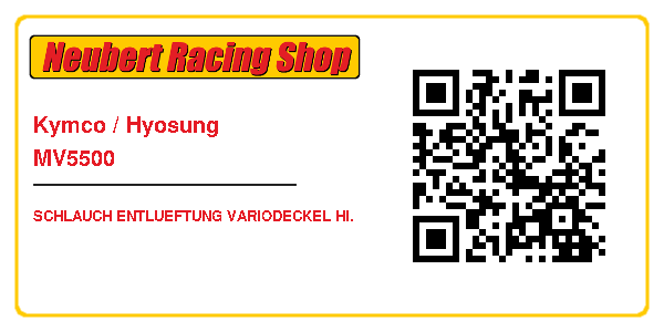 Kymco / Hyosung MV5500