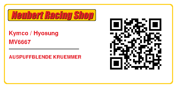 Kymco / Hyosung MV6667