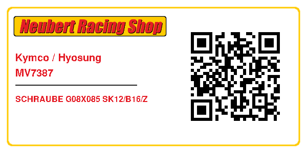 Kymco / Hyosung MV7387