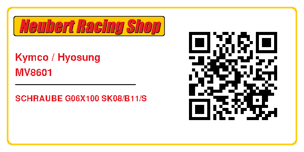 Kymco / Hyosung MV8601