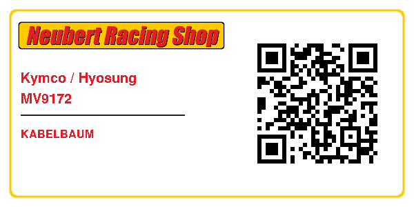 Kymco / Hyosung MV9172
