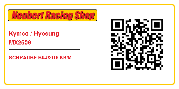 Kymco / Hyosung MX2509