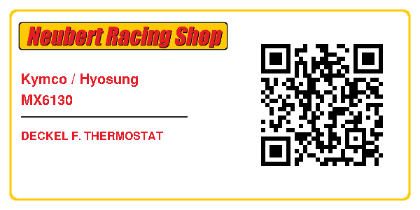 Kymco / Hyosung MX6130