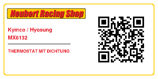 Kymco / Hyosung MX6132