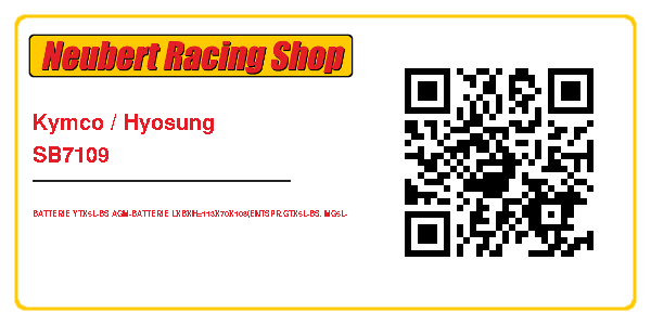 Kymco / Hyosung SB7109