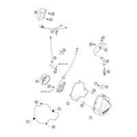 IGNITION SYSTEM