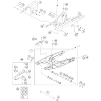 SCHWINGARM