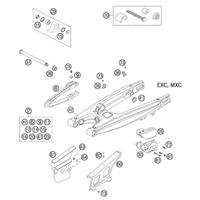 SCHWINGARM