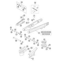 SCHWINGARM