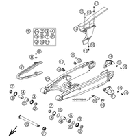 SCHWINGARM