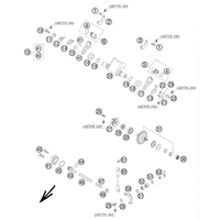 AUSLASSSTEUERUNG