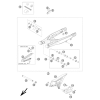 SCHWINGARM