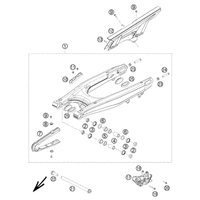 SCHWINGARM