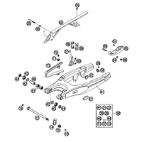 SCHWINGARM