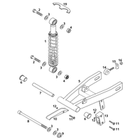 SCHWINGARM