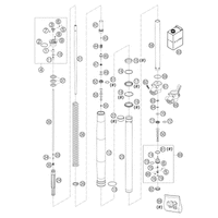 GABELBEINE WP USD 43 85 SX