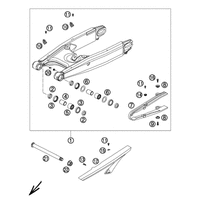 SCHWINGARM