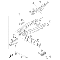 SCHWINGARM