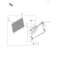 Accessory(Radiator Trim)