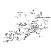 Zylinderkopf & Ventiltrieb