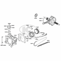 Zylinder & Kurbelwelle