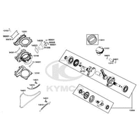 Zylinder & Kurbelwelle