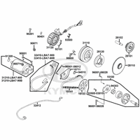 Lichtmaschine, Anlasser & Ölpumpe