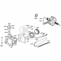 Zylinder & Kurbelwelle
