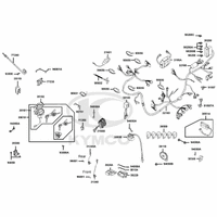 Elektrische Anlage & Schlosssatz